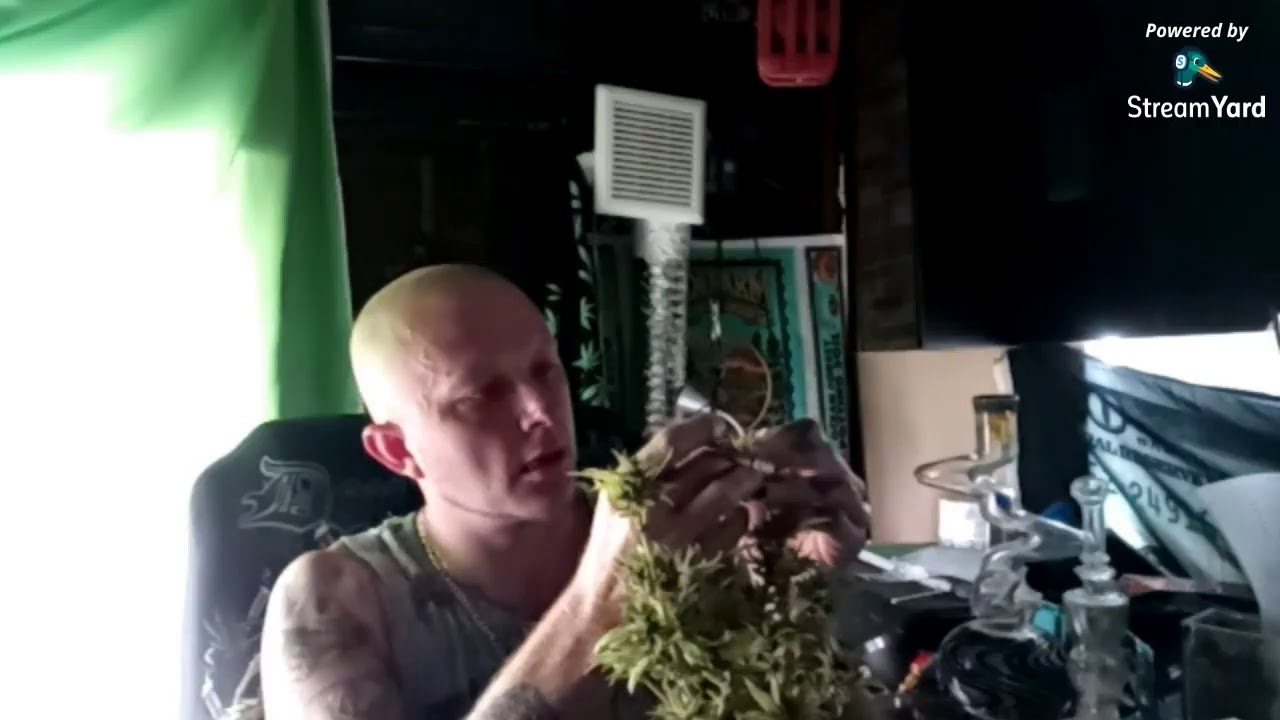 #420LIVE 420LIVE