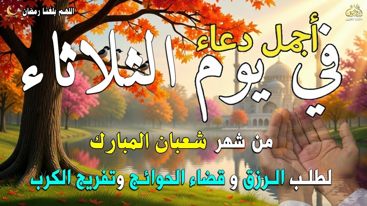 دعاء فى يوم الأربعاء المستجاب دعاء يوم 22 من شهر شعبان للرزق والشفاء العاجل وقضاء الحوائج 🤲(4k)