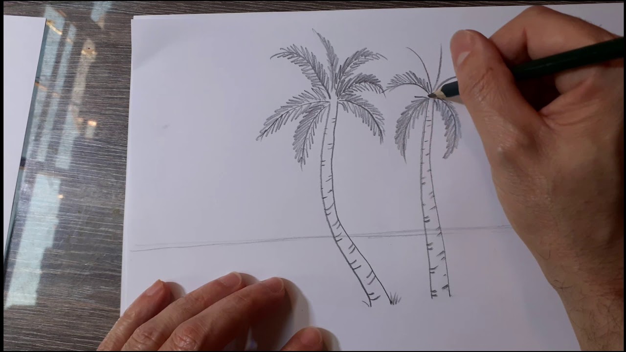 Desenhando um coqueiro