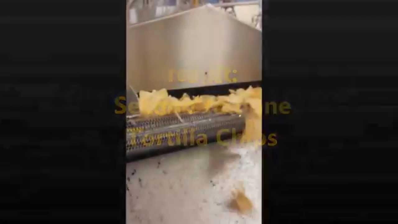EFS - Tortilla Chip Fryer - Engineered Food Systems Inc.