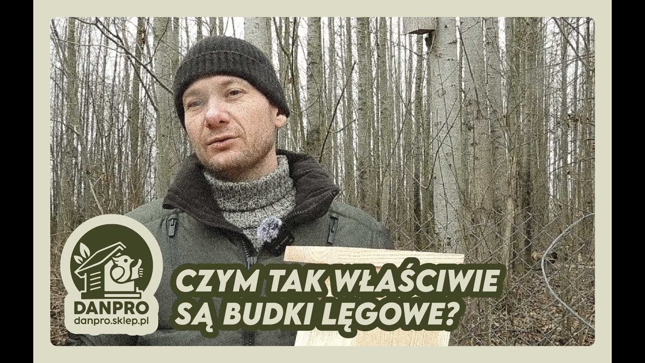 Czym tak właściwie są budki lęgowe?