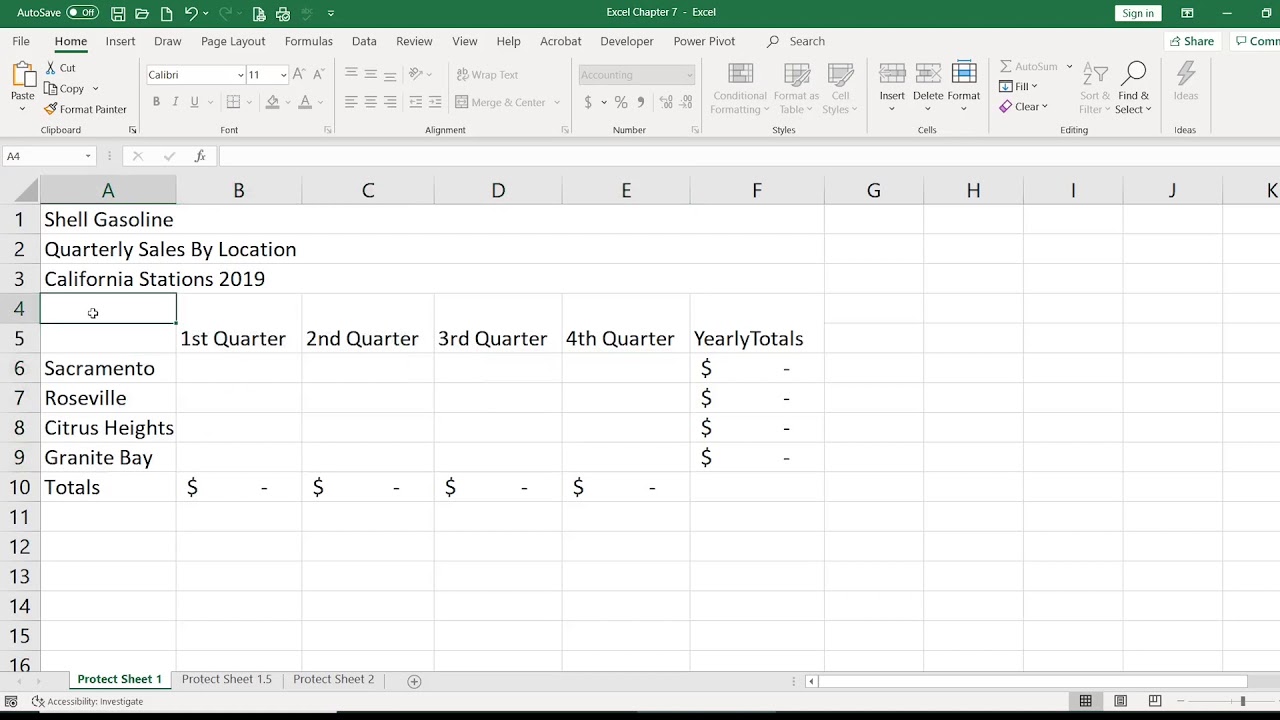 Introduction to the Protect Worksheet Feature
