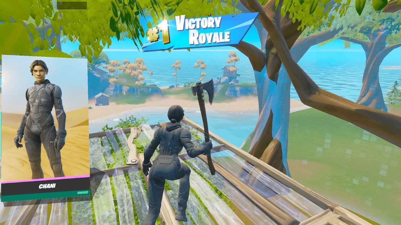 *NEW* CHANI SKIN GAMEPLAY / 12 Kills Solo Win Aggressive Gameplay + HANDCAM (FORTNITE ZENDAYA SKIN)