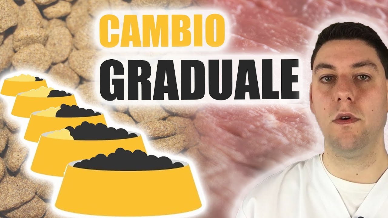CAMBIO GRADUALE dei croccantini, alimenti fatti in casa cotti e crudi: è utile nel cane e nel gatto?