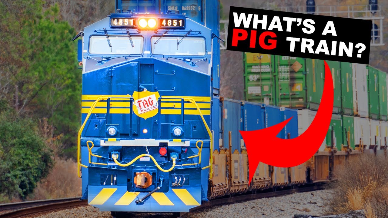 Train Types Explained in 25 Minutes