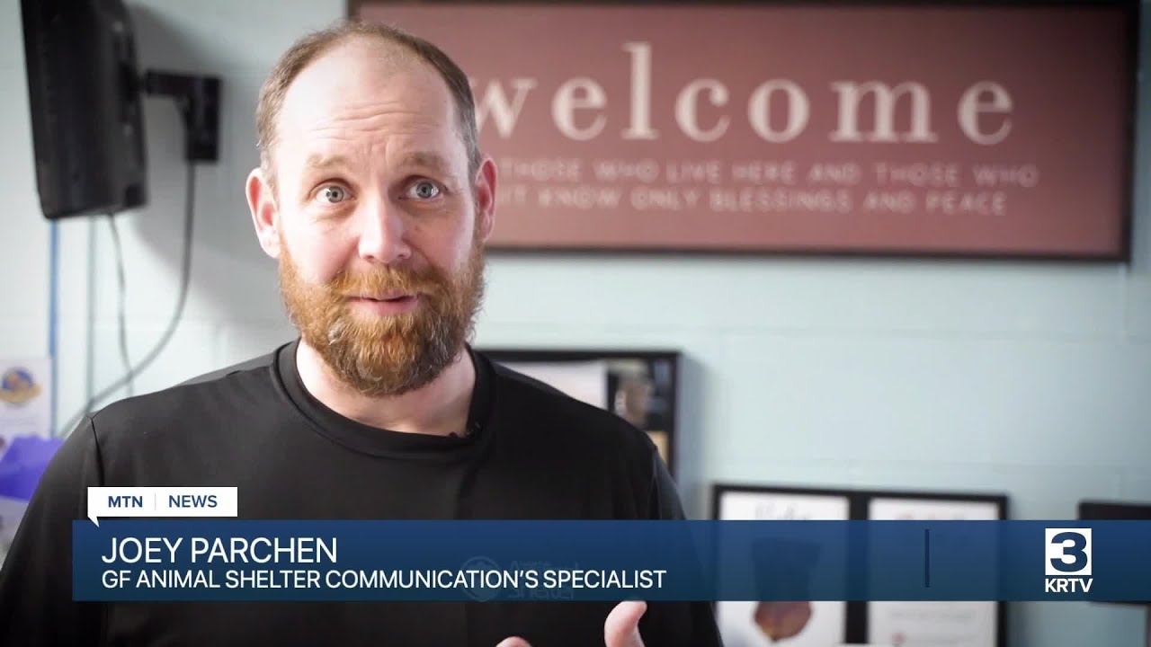 Great Falls Animal Shelter is providing free engraved pet tags