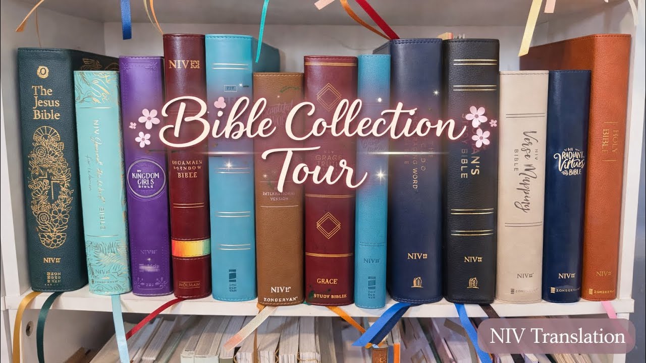 Моя коллекция Библий в переводе NIV 📖 | Библии в переводе New International Version: просмотр и о...