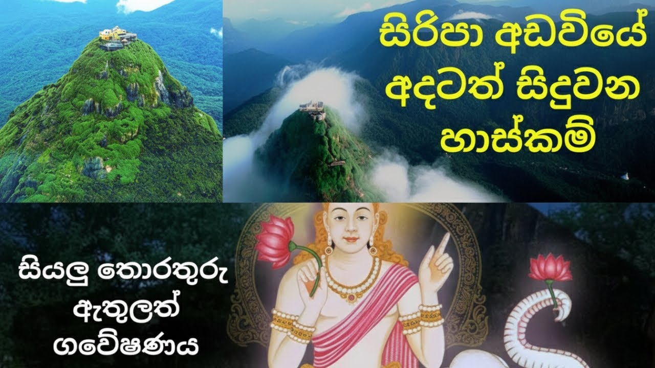 සිරිපා අඩවියේ අදටත් සිදුවන හාස්කම් | සියලු තොරතුරු ඇතුලත් ගවේෂණය | adams peak srilanka | sripadaya