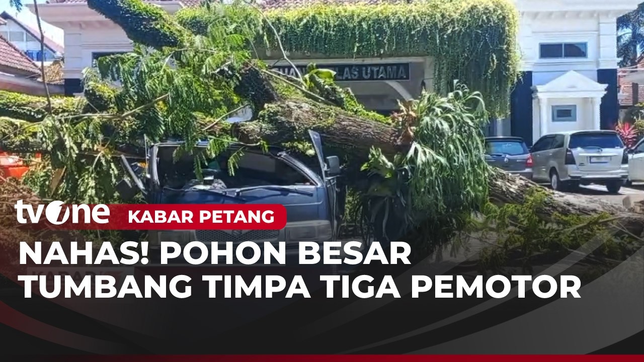 Pohon Raksasa Ambruk Timpa 2 Pelajar dan Guru | Kabar Petang
