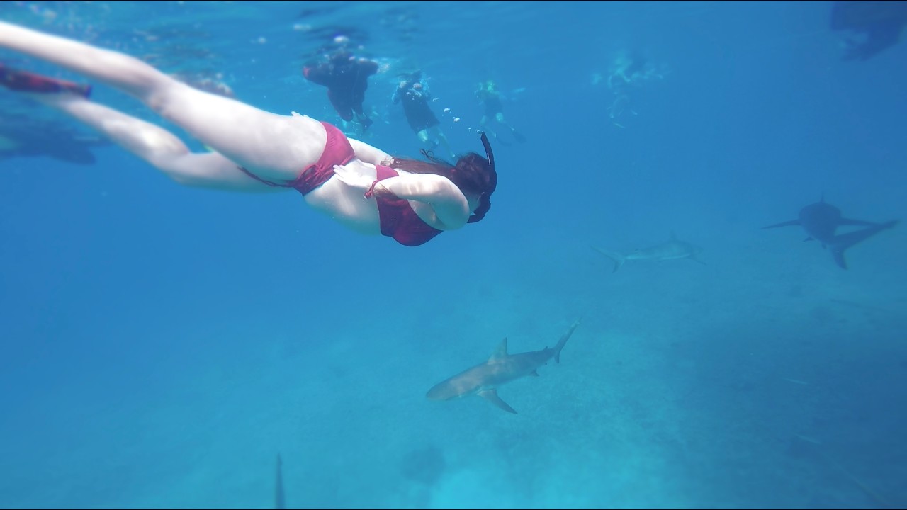 2026 Caribbean Snorkel Adventure
