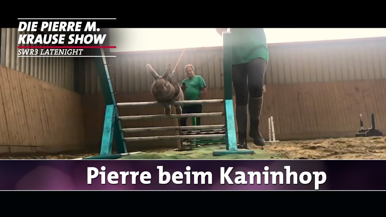 Pierre beim Kaninhop