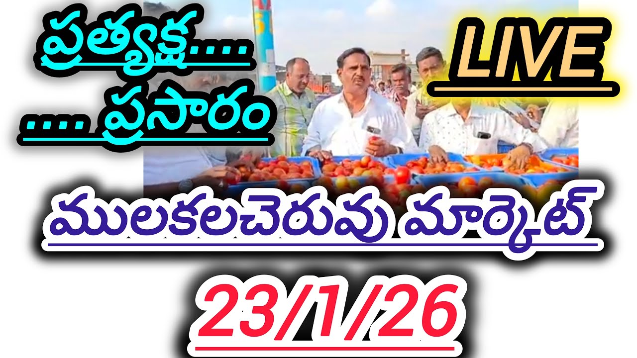 23/1/26 Mulakalacheruvu tomato market price today 🍅 #todaytomatorate #crkvideos16