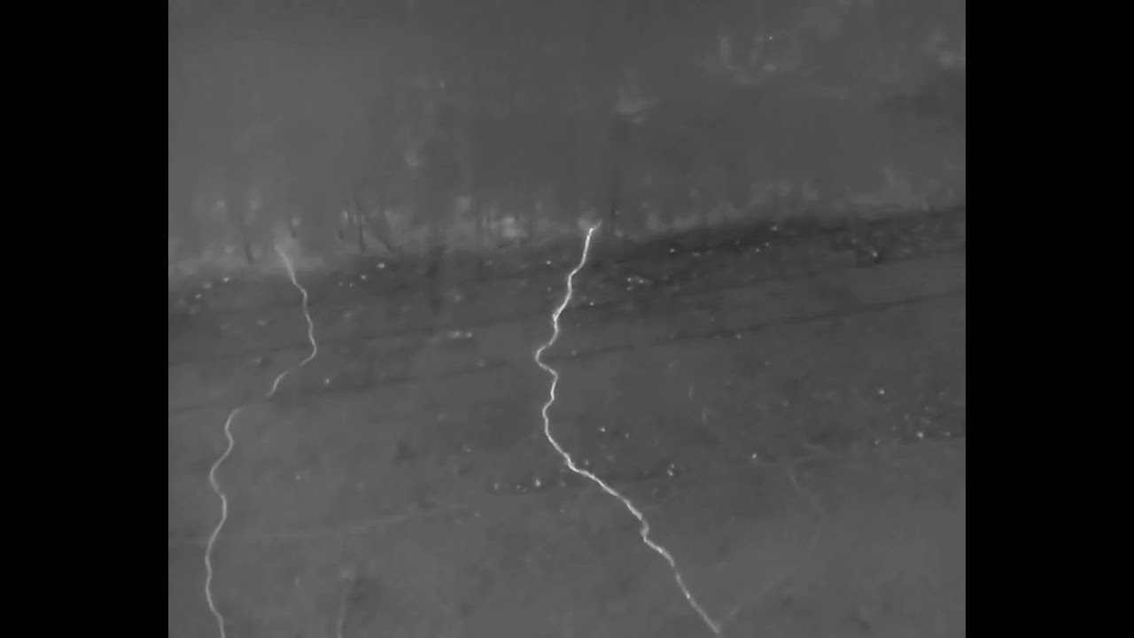 Dji Matrice 4t. 10 wild boars at night. Thermal camera and night camera view.