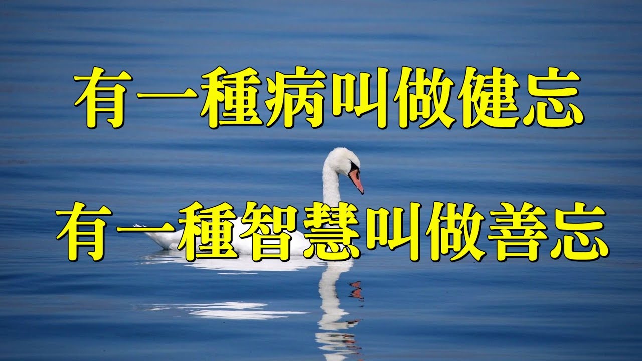 健忘是種病， 「善忘」是種智慧！糊裡糊塗地過每一天， 只有讓自己癡呆的更快。