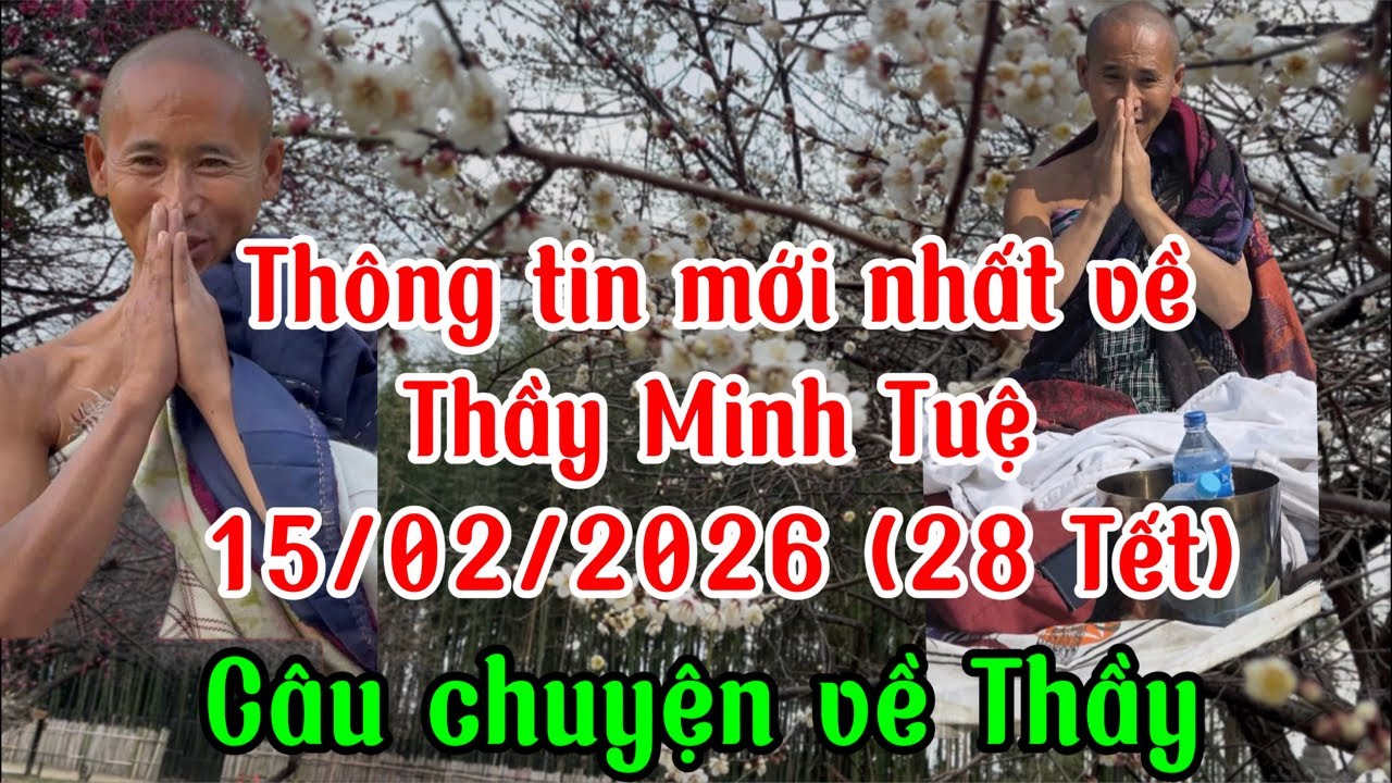 Thông tin mới nhất về Thầy Minh Tuệ 15/02/2026 ( 27 Tết) #thayminhtue #suminhtue