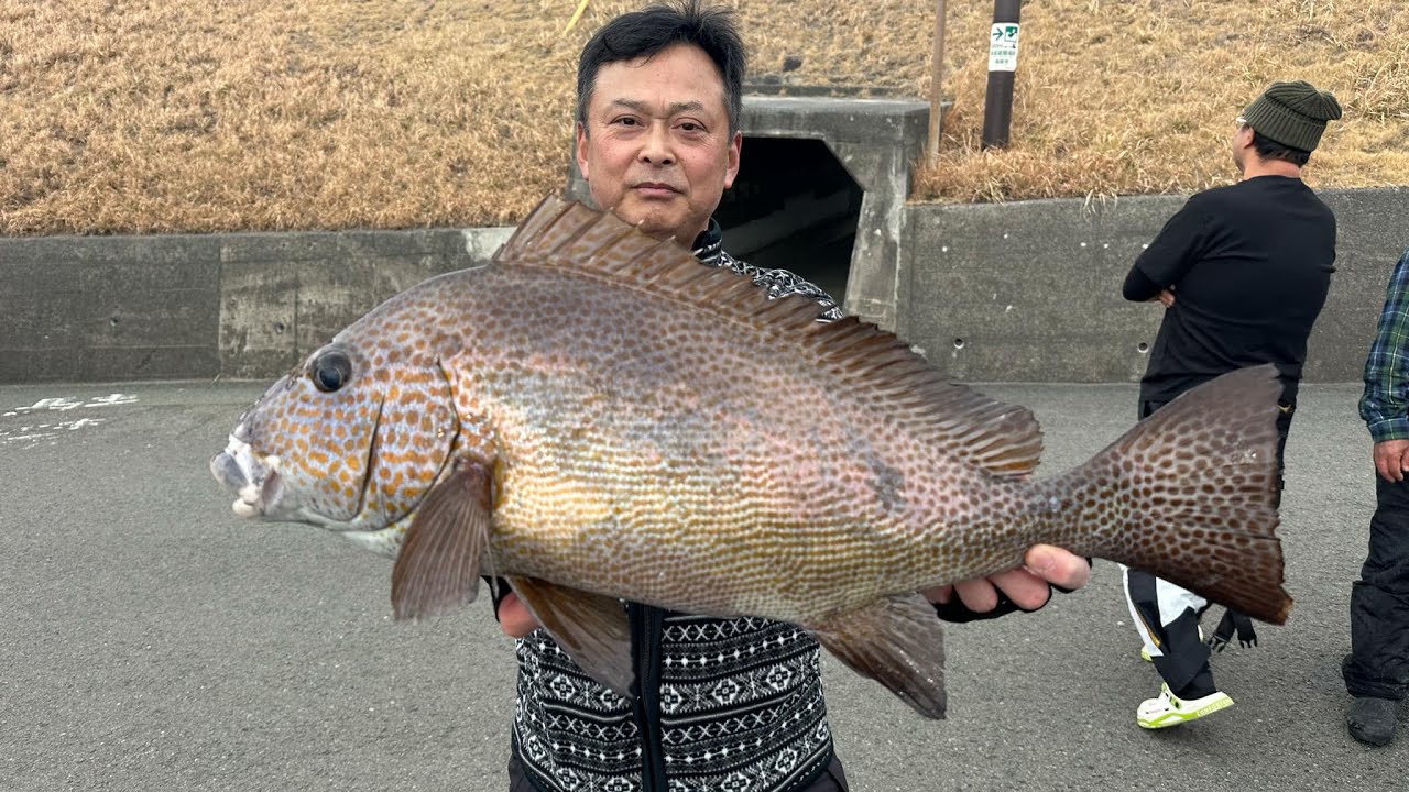 南伊豆入間美沢丸グレ釣りダービー＜2025年2月1日：御協力　南伊豆入間美沢丸様＞