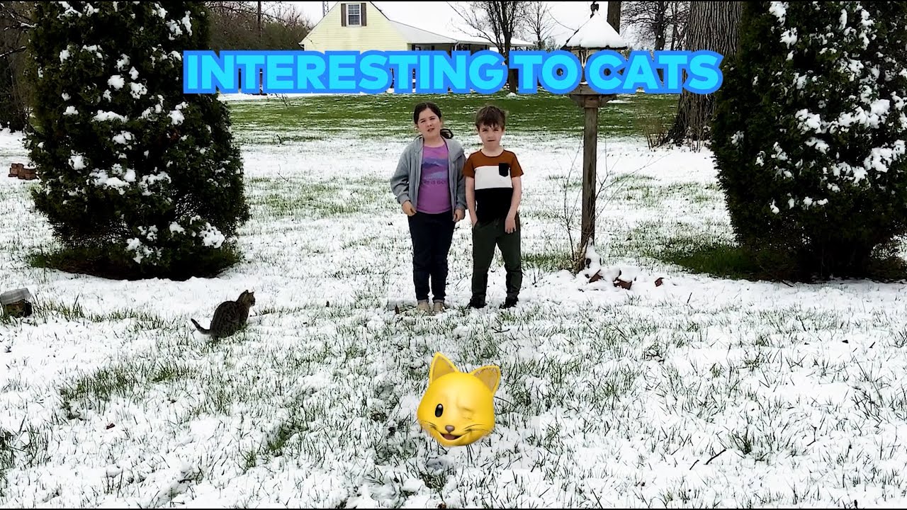 Our First Challenge Video
