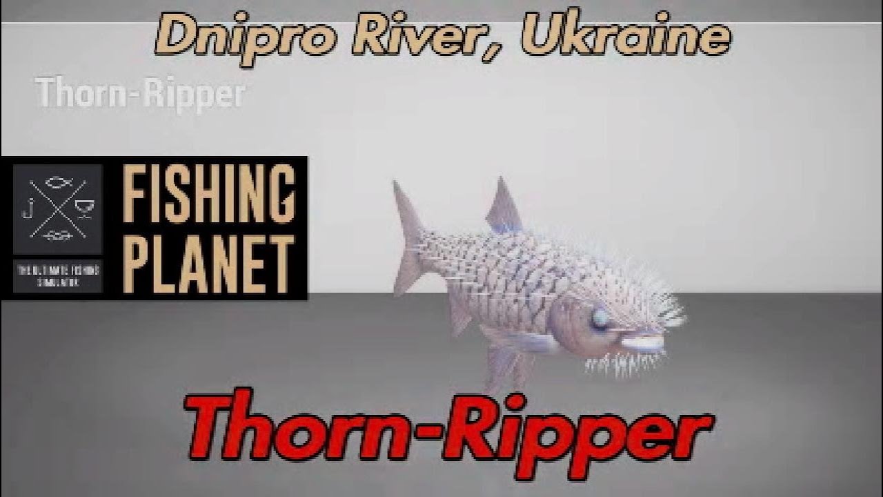 Thorn-Ripper Река Днепр Украина Fishing Planet Guide