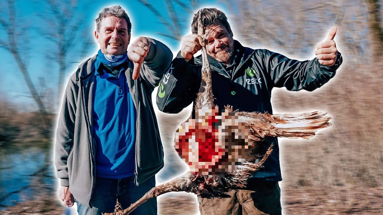 Ausgeschlachtet |&nbsp;Uli Beyer & Wolfsrudel im Abenteuerland Eule