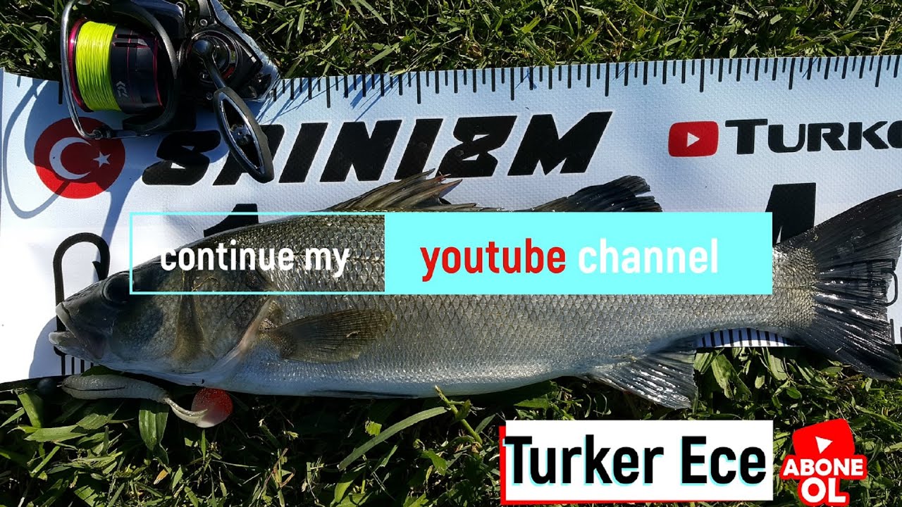 Levrek Avı / İzmir Bayraklı levrekleri Bölüm 1