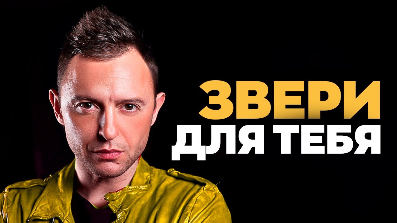 ЗВЕРИ — ДЛЯ ТЕБЯ | Karaoke FM