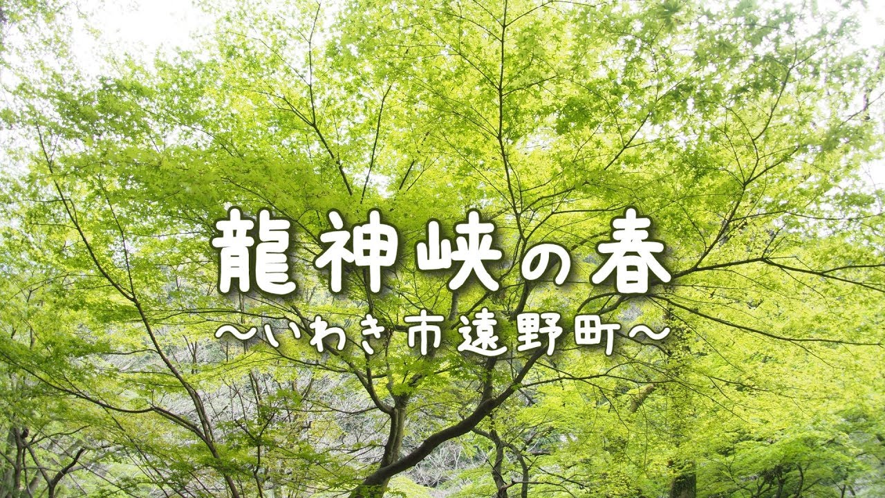 龍神峡の春～いわき市遠野町～