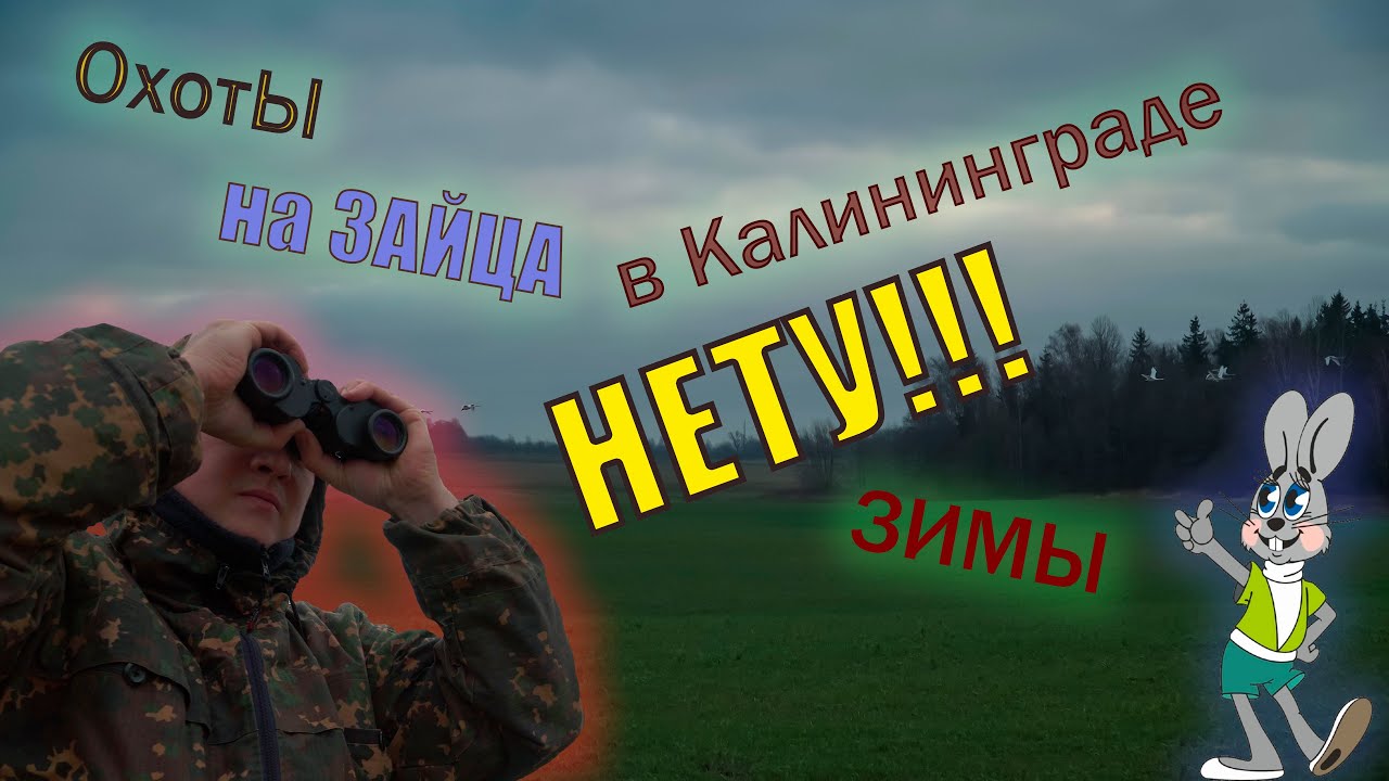 Охота на зайца  в Калининградской области.(в этом видео ни одно животное не пострадало)[На Рыбалку]