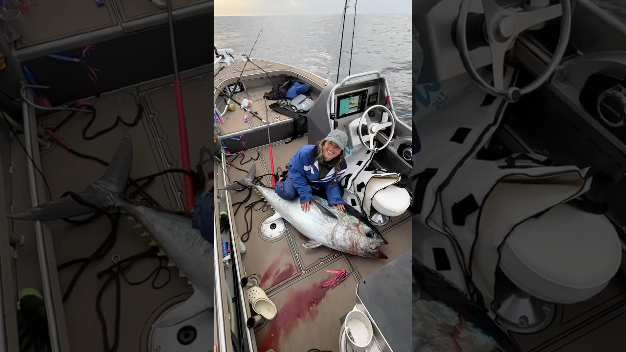 Chasing giants in Portland Victoria 🇦🇺🎣 Bluefin Tuna 🐟#fishing