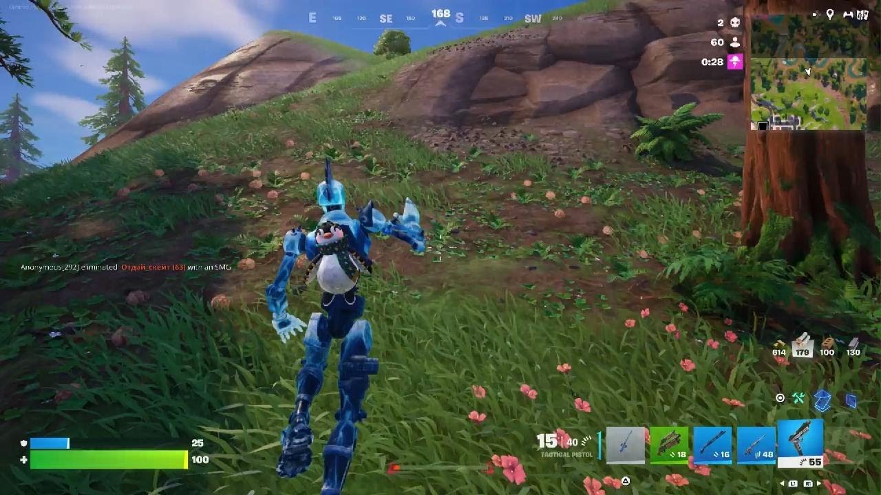 Crazy victory royale :lightning end