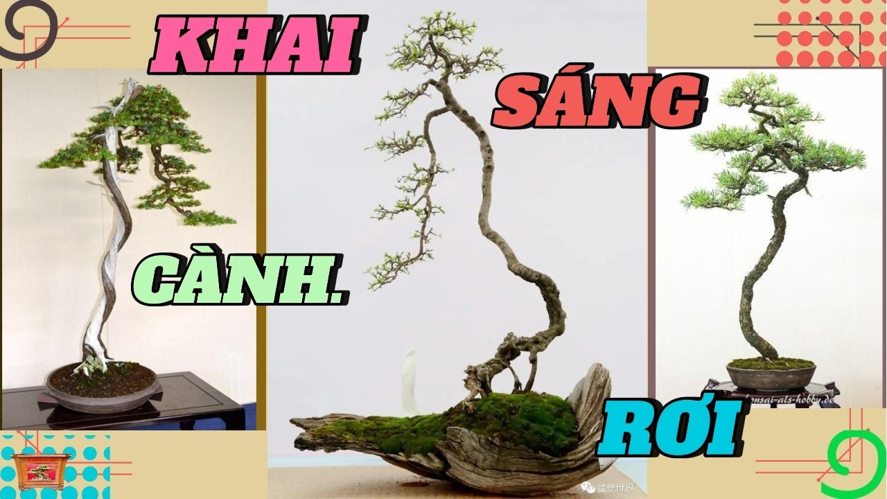Khai sáng về những cành cây rơi của nghệ thuật Bonsai#caycanh #bonsaitree