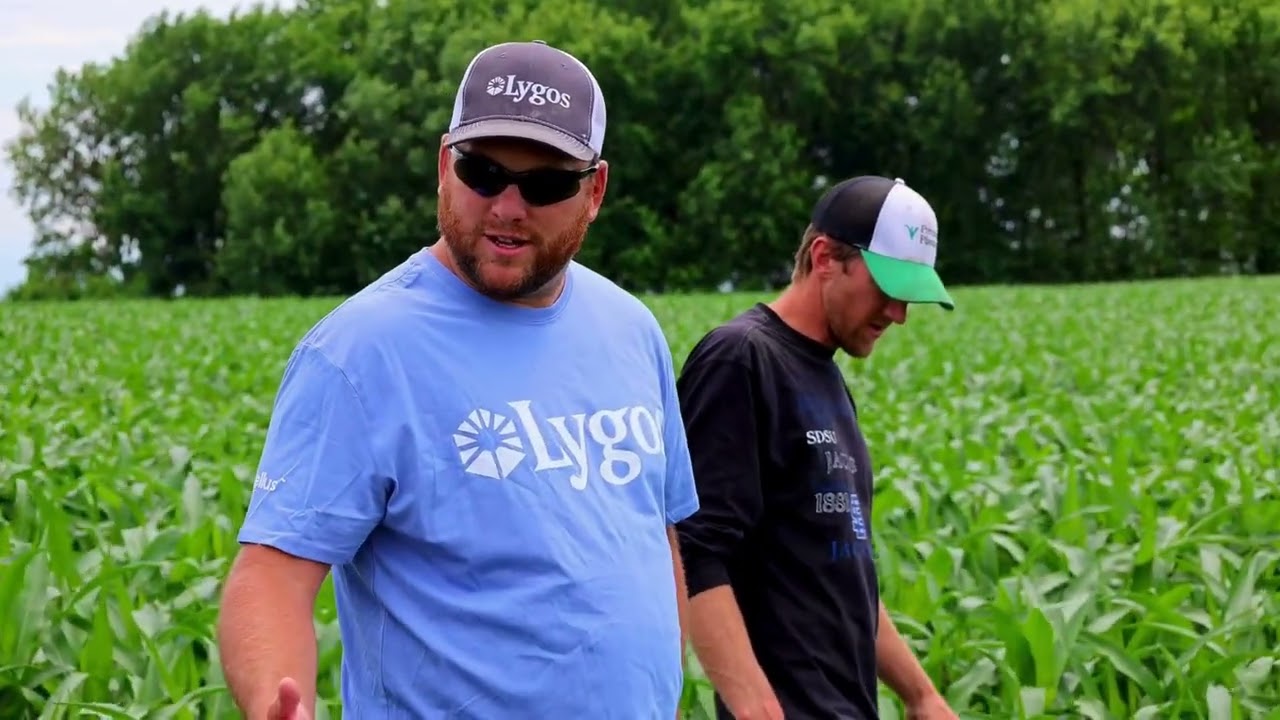 Why This Grower Trusts Soltellus | Ryan Wynia