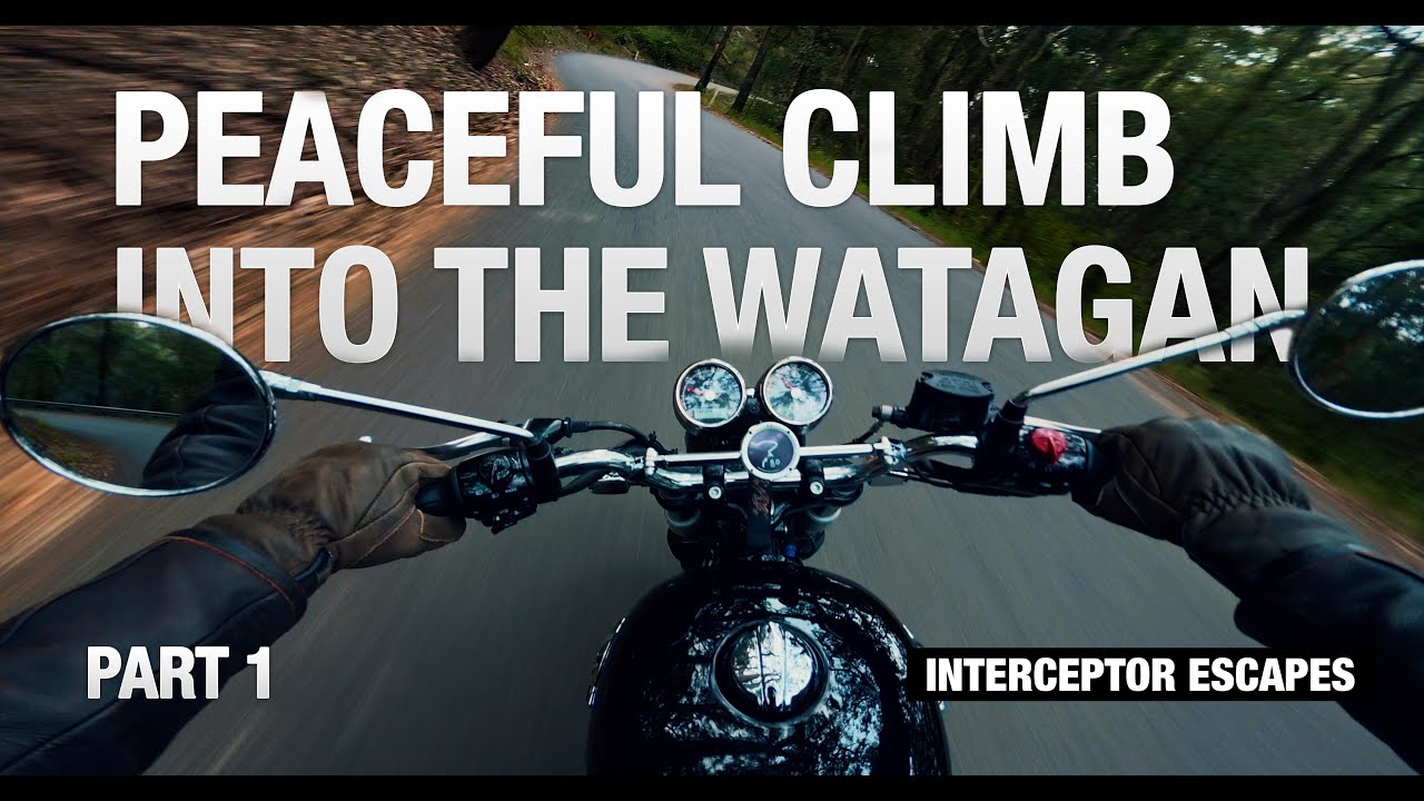 Interceptor Escapes: A Peaceful Climb into the Watagans (Part 1)