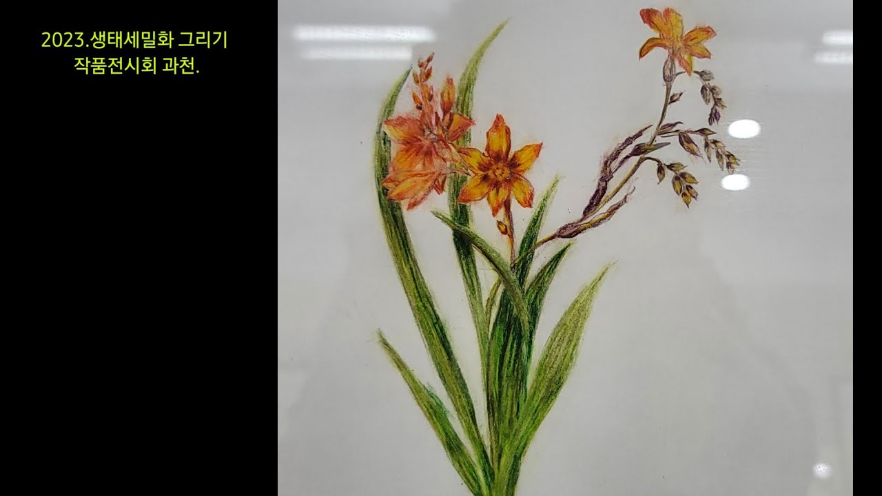 2023  생태세밀화 그리기 작품전시회#과천#정보과학도서관 