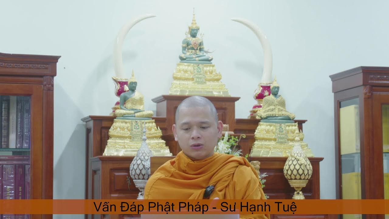 LIVE - Vấn Đáp Phật Pháp - Sư Hạnh Tuệ 20/02/2026