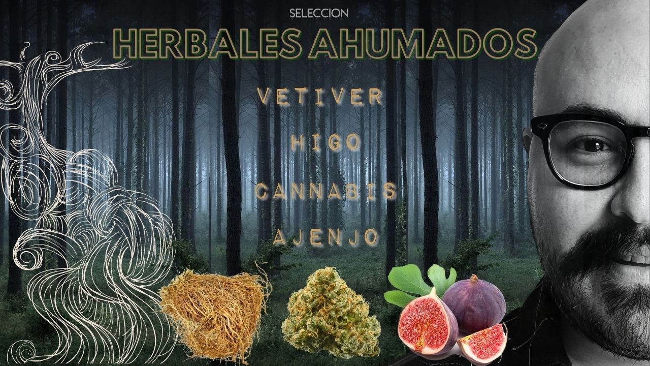 |Lo mejor de los perfumes Herbales Ahumados| My Scent Journey