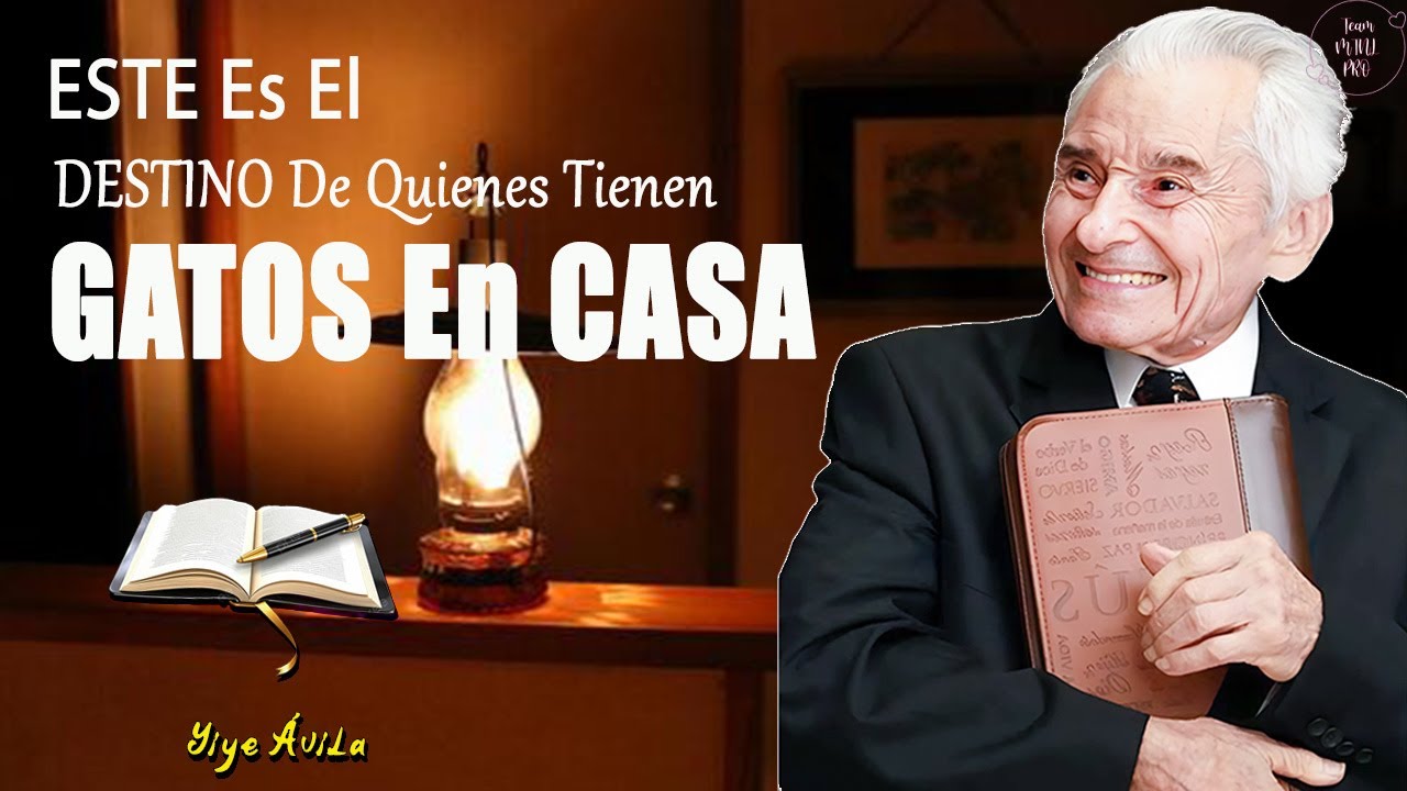 ESTE es el DESTINO de quienes tienen GATOS en CASA ¡No lo Ignores! - Yiye Ávila