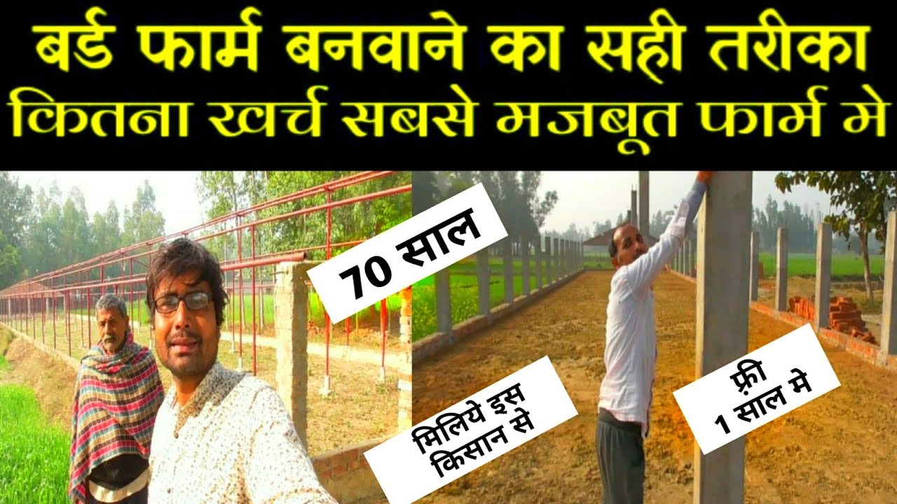 birds farm बनवाने का सबसे सही तरीका | Poultry farming-UP | murgi farm kaise banvaye | new farming,