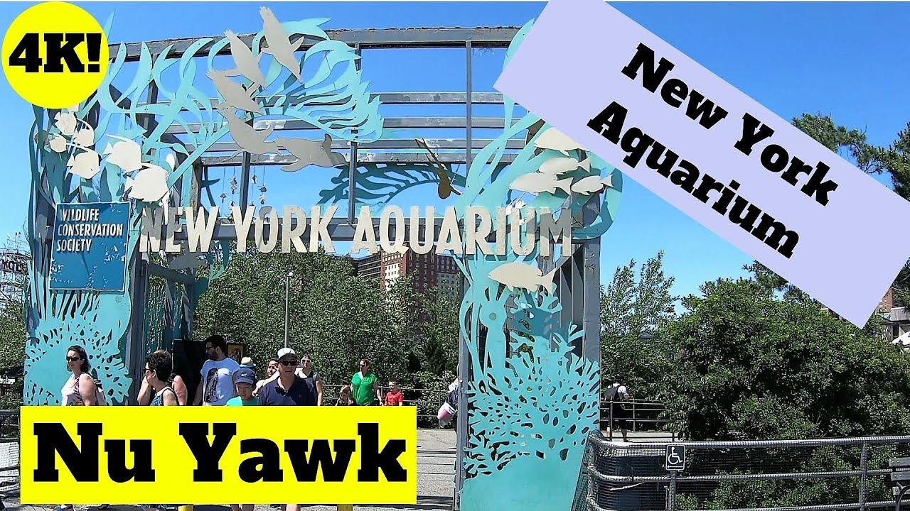 New York City video tour New York Aquarium 4K