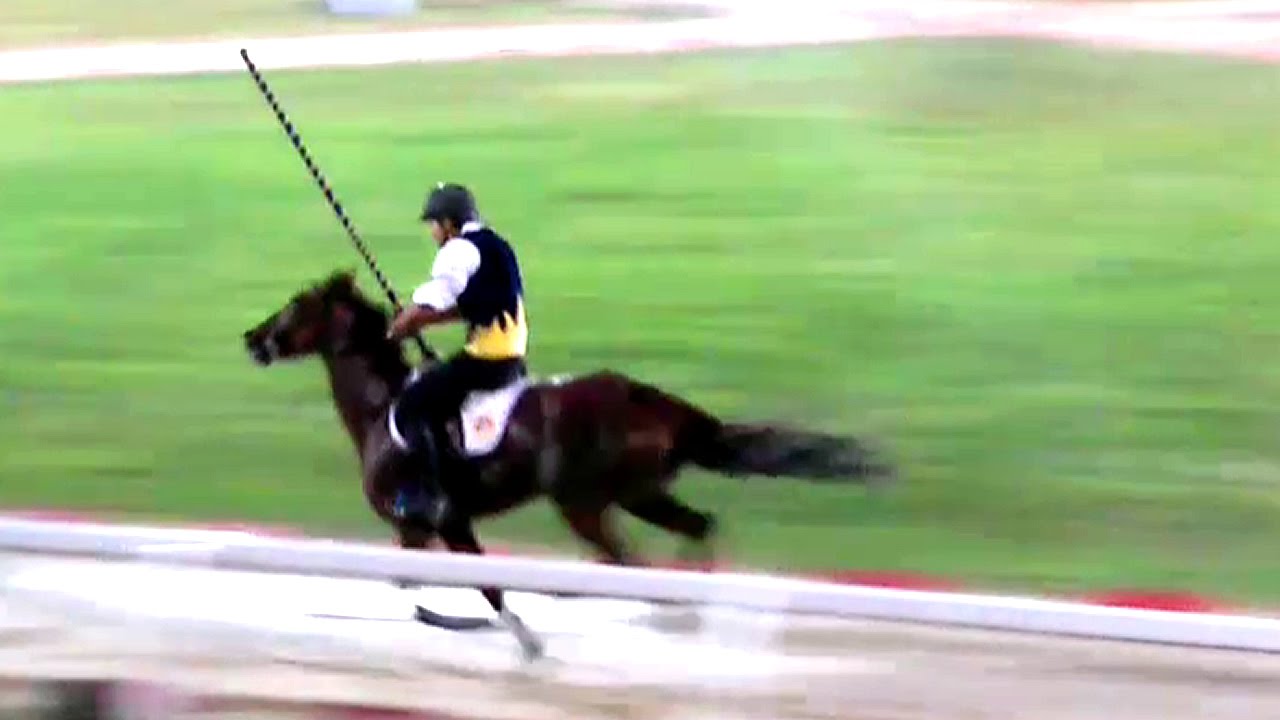 Giostra della Quintana 2015 3^ Tornata Luca Innocenzi (Porta Solestà) conquista Palio Ascoli Piceno