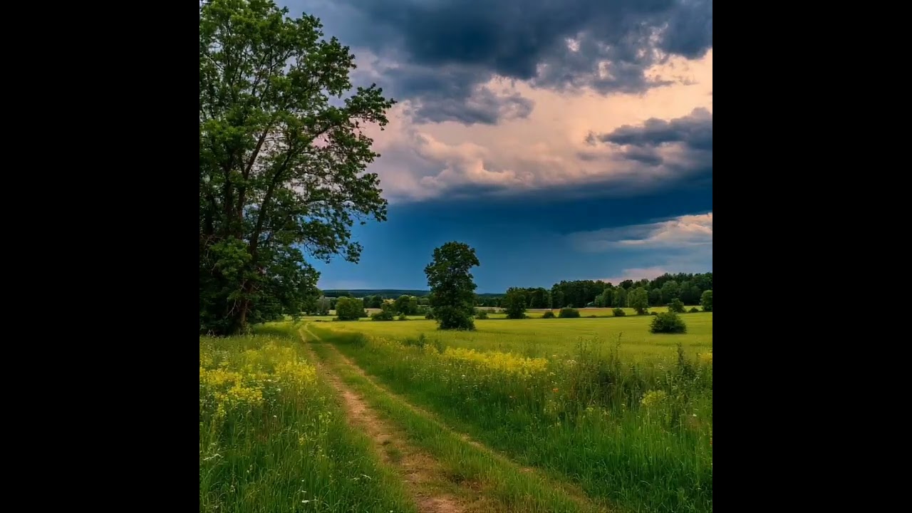 N.V.V. – летний вечер перед грозой.