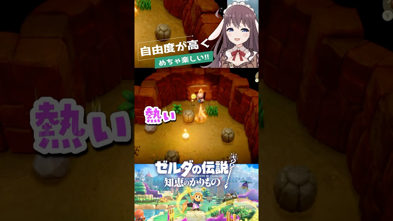 【Zelda】壺に入れたりやんちゃするゼルダ姫が楽しすぎるｗ ゼルダの伝説知恵のかりもの #ゼルダの伝説 #知恵のかりもの