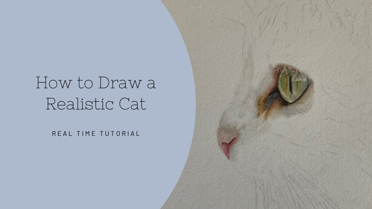 How to Draw a Realistic Cat | Real Time Tutorial | Part 1 Eyes and Nose