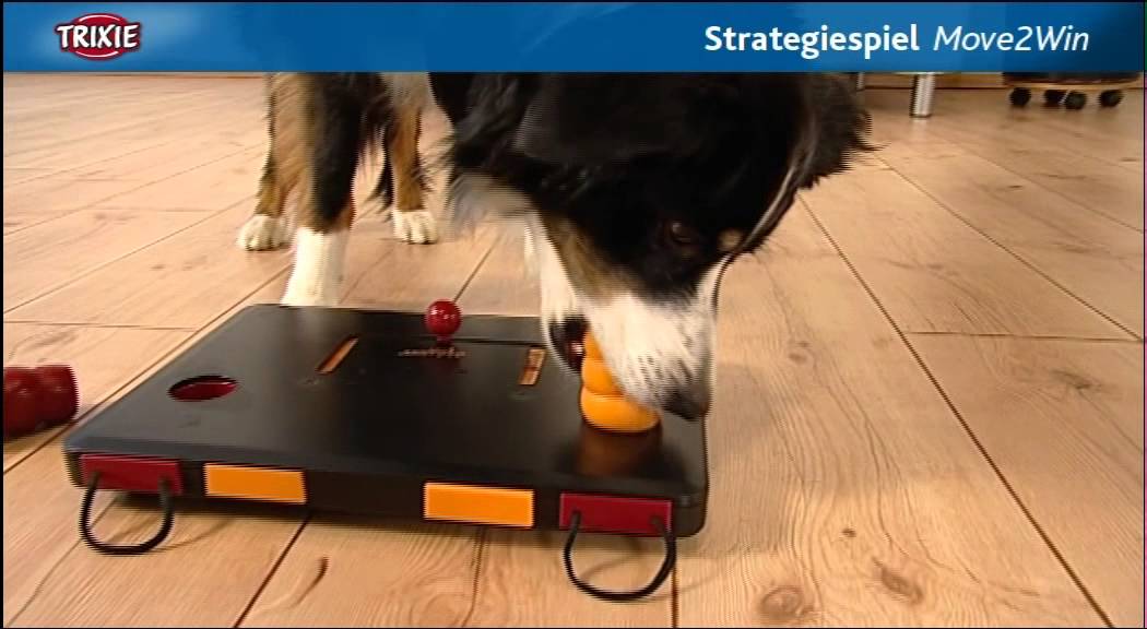 Trixie Dog Activity - Move2Win