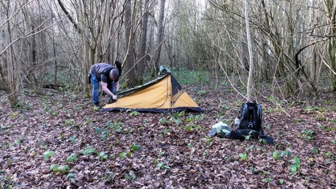 Les Rencontres Les Plus Troublantes en Forêt Capturées Par Caméra