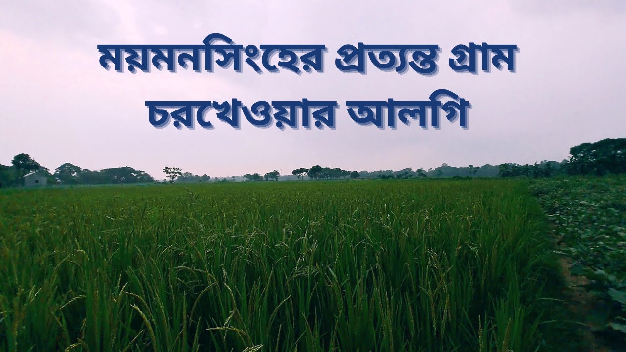 ময়মনসিংহের প্রত্যন্ত গ্রাম চরখেওয়ার আলগি