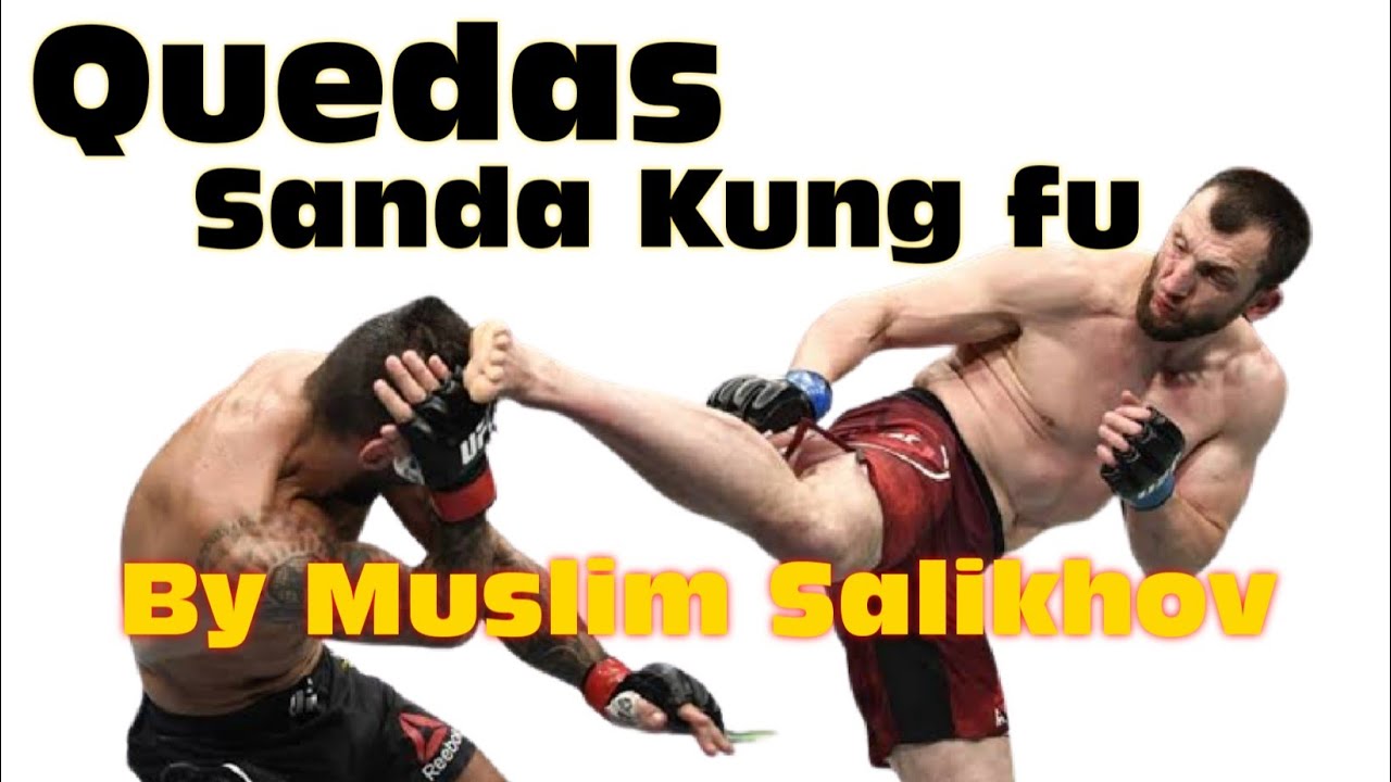 Kung fu Boxe Chin&ecirc;s APRENDA 15 quedas com Muslim Salikhov - Sanda Kung fu Throws by Muslim Salikhov