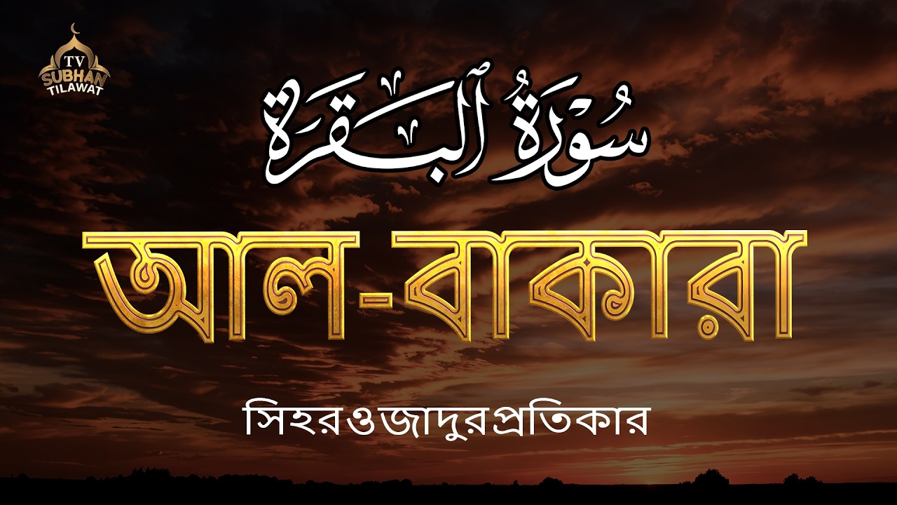 সবচেয়ে হৃদয়স্পর্শী সূরা বাকারা তেলাওয়াত 🌿 কুরআনের আলো ও শান্তির বার্তা | Surah Al Baqarah 💖