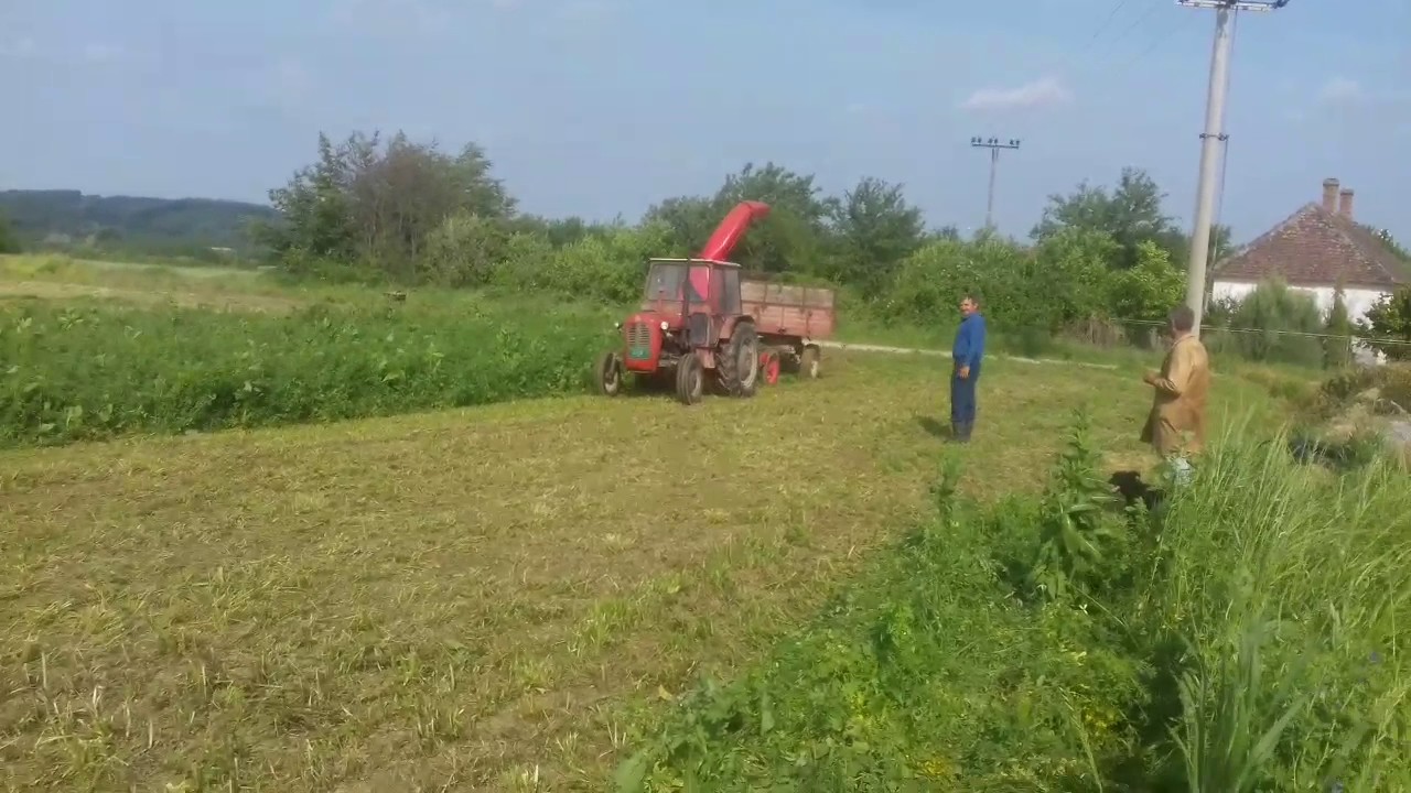 Silaza lucerke 2017 majstor branko lojanice
