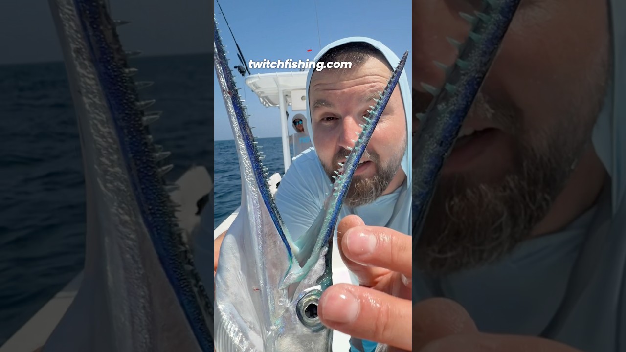 Огромен ЗАРГАН на воблер MUSTAD GONTA! #twitchfishingshop #twitchfishing #риболовенмагазин