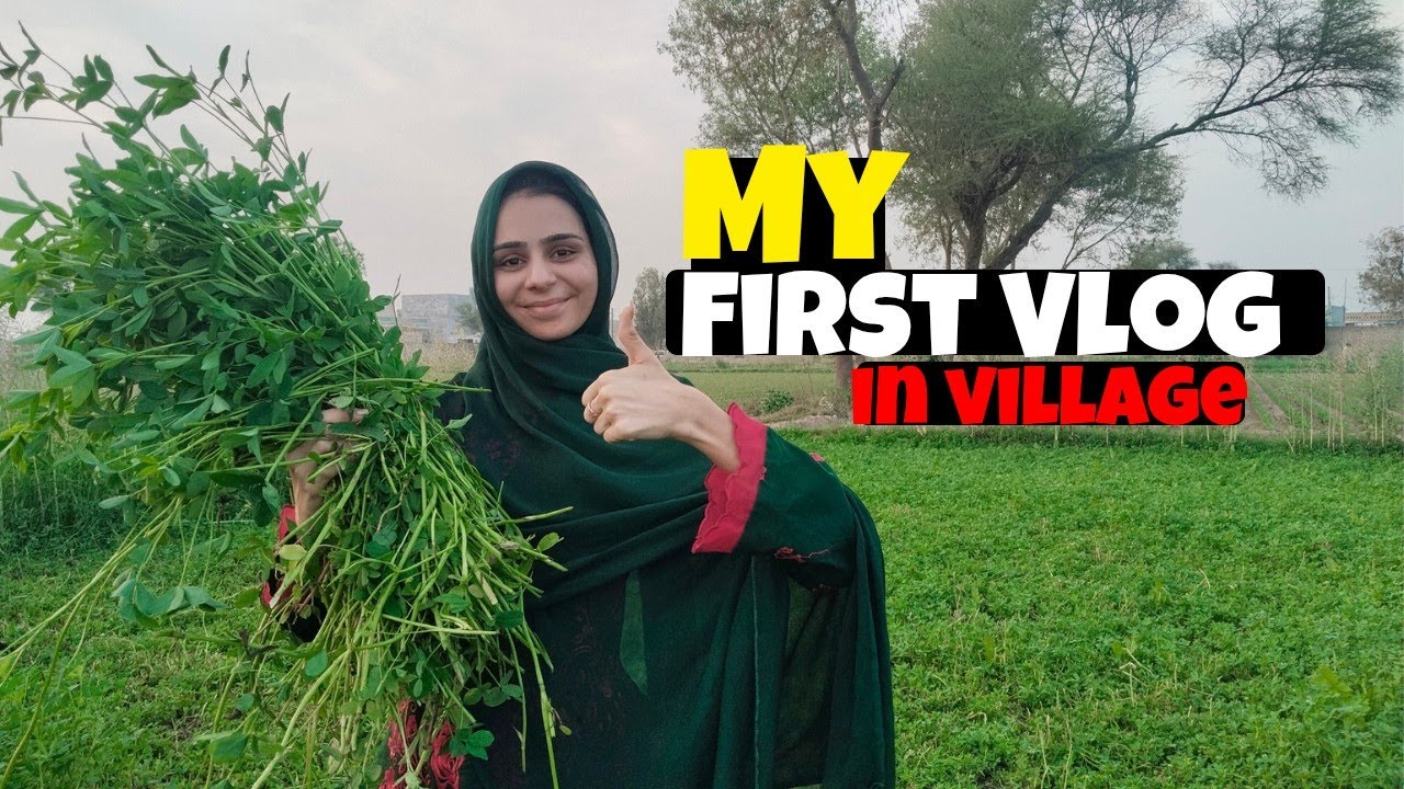 My First Village Vlog | Beautiful Village Life | Daily Vlog 🌾